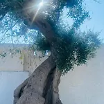 Maria *