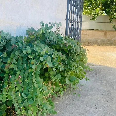 Maria * Carovigno