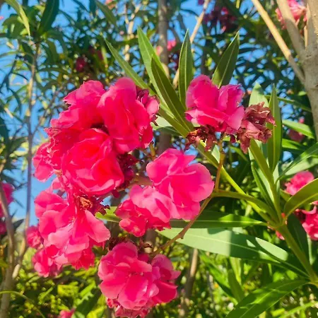 Villa Maria Carovigno