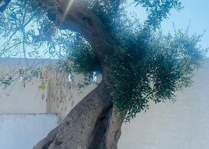 Maria *